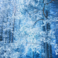 Buy canvas prints of Beautiful winter forest by Wdnet Studio