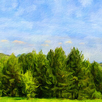 Buy canvas prints of Summer forest and blue sky by Wdnet Studio