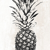 Buy canvas prints of Trendy pineapple fruit decoration in BW by Wdnet Studio