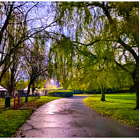 Buy canvas prints of Early morning walk through the park by Peter Barrett
