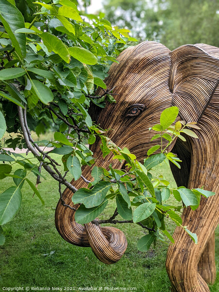 Elephant sculpture in Green Park, London Picture Board by Rehanna Neky