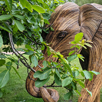Buy canvas prints of Elephant sculpture in Green Park, London by Rehanna Neky
