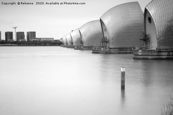 Thames Barrier in black and white Picture Board by Rehanna Neky