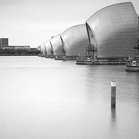 Buy canvas prints of Thames Barrier in black and white by Rehanna Neky