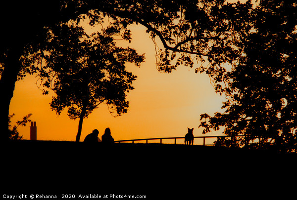 Sunset in park near Greenwich Meridian Picture Board by Rehanna Neky