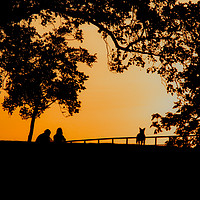 Buy canvas prints of Sunset in park near Greenwich Meridian by Rehanna Neky