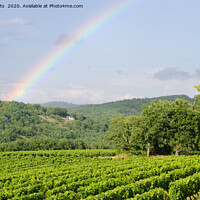 Buy canvas prints of rainbow over vineyards in france by Rocklights 