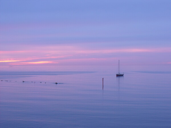 Dawn in Newbiggin by the Sea Picture Board by Richard Dixon