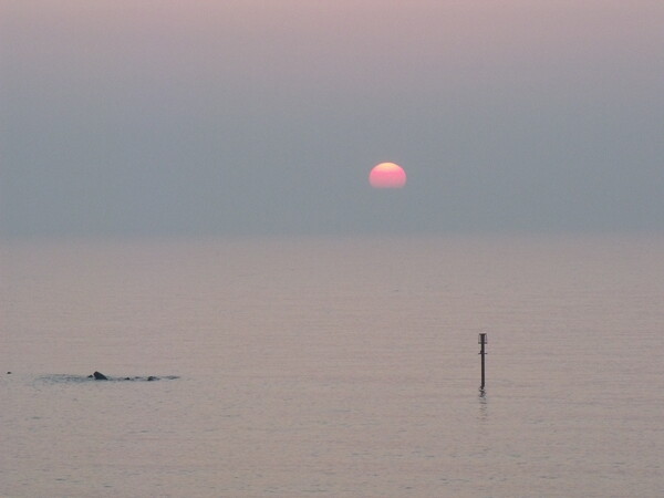 Sunrise at Newbiggin-by-the-Sea Picture Board by Richard Dixon