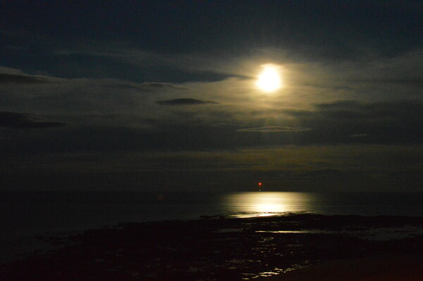 Moon over Newbiggin-by-the-Sea Picture Board by Richard Dixon