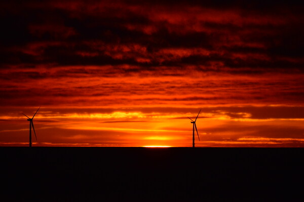 Windmill sunrise at Newbiggin-by-the-Sea  Picture Board by Richard Dixon