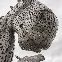 Buy canvas prints of The Kelpies. by Ashley Cooper