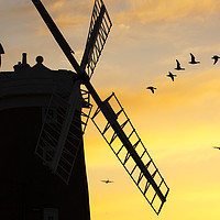 Buy canvas prints of Windmill fly past. by Ashley Cooper