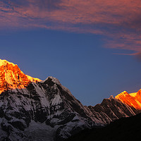 Buy canvas prints of Annapurna by Ashley Cooper