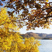 Buy canvas prints of Derwent Water by Ashley Cooper