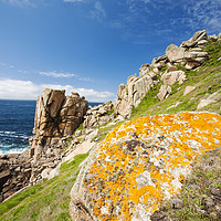 Buy canvas prints of Cornish lichen. by Ashley Cooper