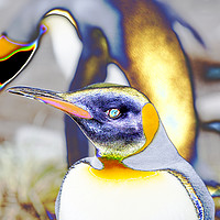 Buy canvas prints of King Penguins by Ashley Cooper