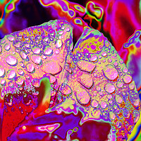 Buy canvas prints of raindrop art. by Ashley Cooper