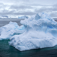 Buy canvas prints of Antarctic blue berg. by Ashley Cooper