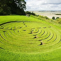 Buy canvas prints of Green maze by Ashley Cooper