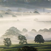 Buy canvas prints of Misty morn. by Ashley Cooper