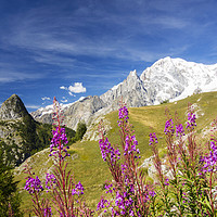 Buy canvas prints of Italian Alps. by Ashley Cooper