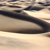Buy canvas prints of Sand dunes. by Ashley Cooper