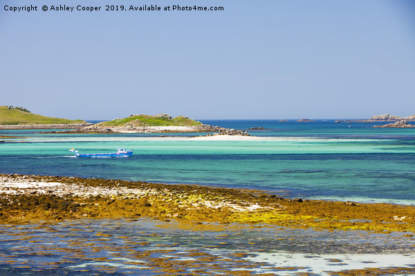 Scilly Isles Framed Mounted Print by Ashley Cooper