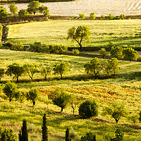 Buy canvas prints of Spanish countryside. by Ashley Cooper
