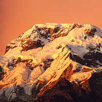 Buy canvas prints of Annapurna afterglow. by Ashley Cooper
