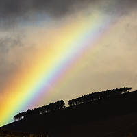 Buy canvas prints of Woodland rainbow. by Ashley Cooper