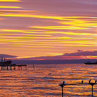 Buy canvas prints of Punta Arenas. by Ashley Cooper
