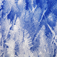 Buy canvas prints of Ice crystals. by Ashley Cooper