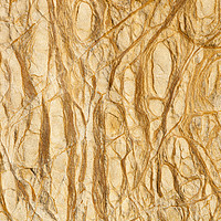 Buy canvas prints of rock patterns. by Ashley Cooper