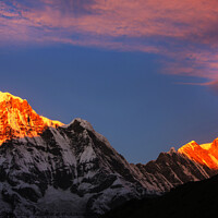 Buy canvas prints of Alpenglow Himalayas by Ashley Cooper