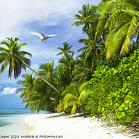 Buy canvas prints of Tuvalu Tropics by Ashley Cooper