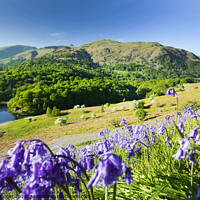 Buy canvas prints of Grasmere Spring. by Ashley Cooper