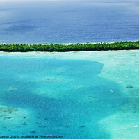 Buy canvas prints of Tuvalu reef.  by Ashley Cooper