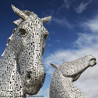 Buy canvas prints of Kelpies. by Ashley Cooper