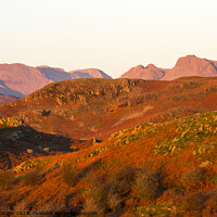 Buy canvas prints of Langdale glow. by Ashley Cooper