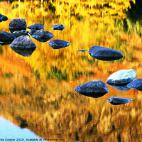 Buy canvas prints of Reflected glory. by Ashley Cooper