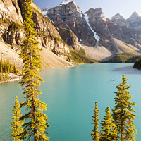 Buy canvas prints of Moraine Lake by Ashley Cooper