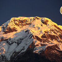 Buy canvas prints of Alpenglow moon. by Ashley Cooper