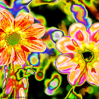 Buy canvas prints of Hippy flowers by Ashley Cooper