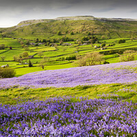 Buy canvas prints of Austwick Spring. by Ashley Cooper