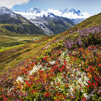 Buy canvas prints of Chamonix valley. by Ashley Cooper