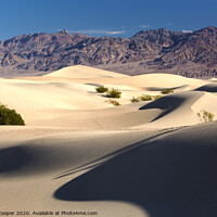 Buy canvas prints of Dunes by Ashley Cooper