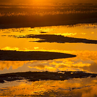 Buy canvas prints of Marsh by Ashley Cooper
