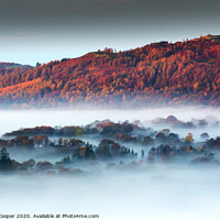 Buy canvas prints of Misty Autumn by Ashley Cooper