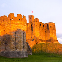 Buy canvas prints of Warkworth Castle dawn by Ashley Cooper